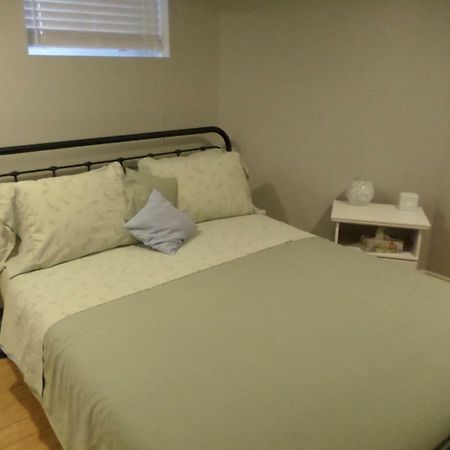 Fantastic And Modern Downtown 1-Bed Basement Apt., Parking Wi-Fi And Netflix Included Ottawa Buitenkant foto