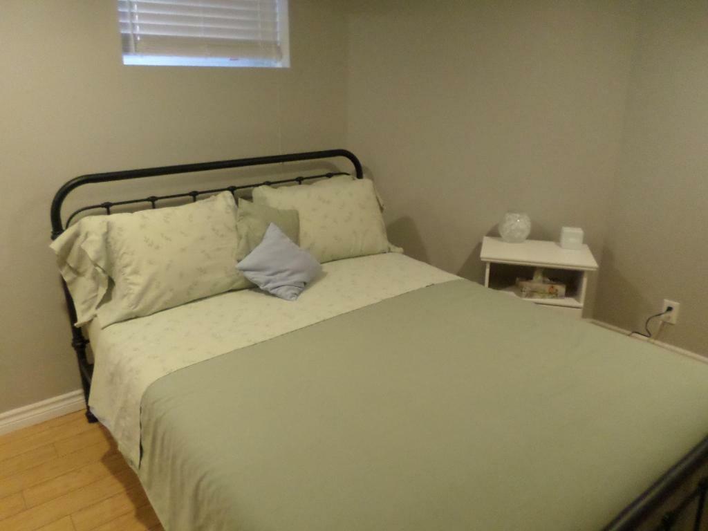 Fantastic And Modern Downtown 1-Bed Basement Apt., Parking Wi-Fi And Netflix Included Ottawa Buitenkant foto
