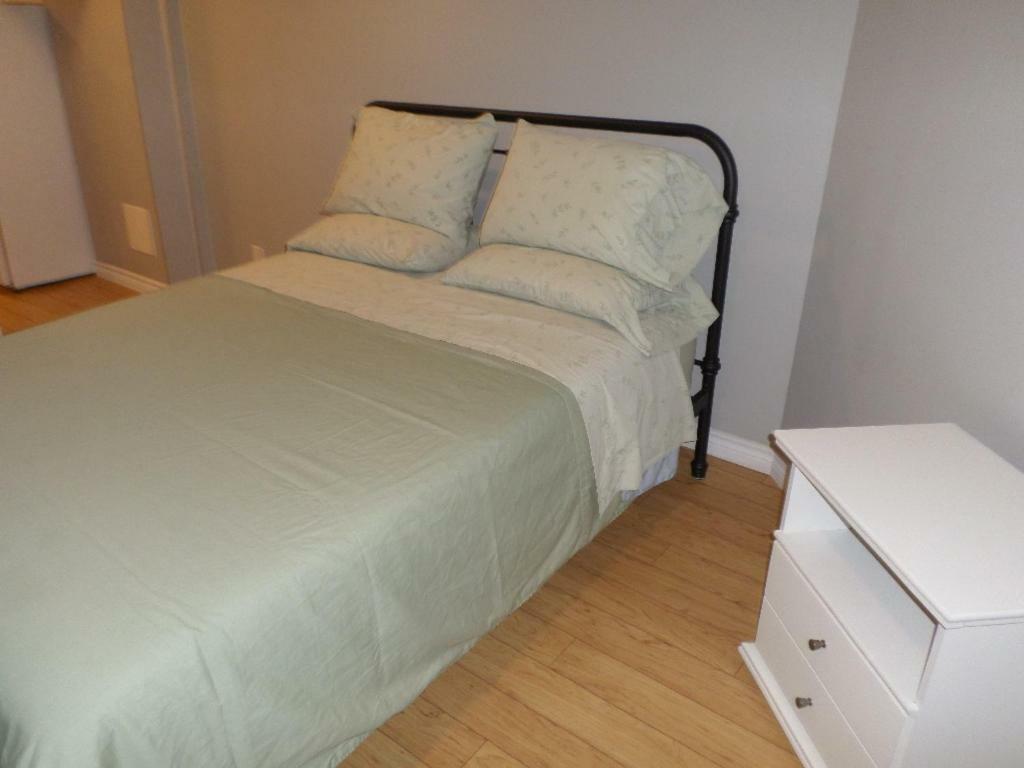Fantastic And Modern Downtown 1-Bed Basement Apt., Parking Wi-Fi And Netflix Included Ottawa Buitenkant foto